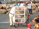 Photos and Postcard, Cartagena, Colombia