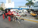 Photos and Postcard, Cartagena, Colombia