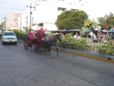 Fotos y Postales de Cartagena, Colombia