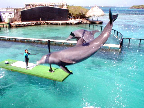Islas del Rosario - Cartagena, Colombia