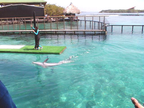 Islas del Rosario - Cartagena, Colombia